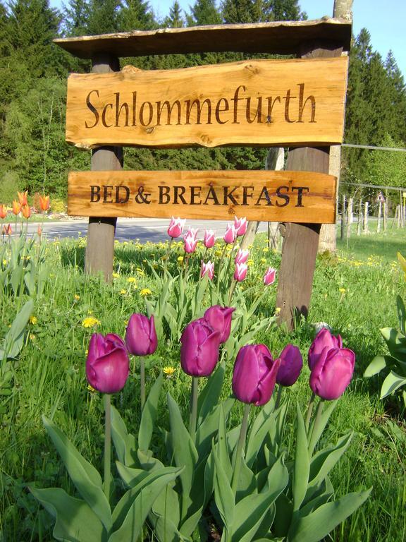 Bed & Breakfast Schlommefurth Bed and Breakfast St. Vith Exterior foto